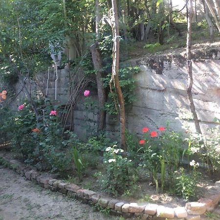 Guesthouse Malkhazi 보르조미 외부 사진
