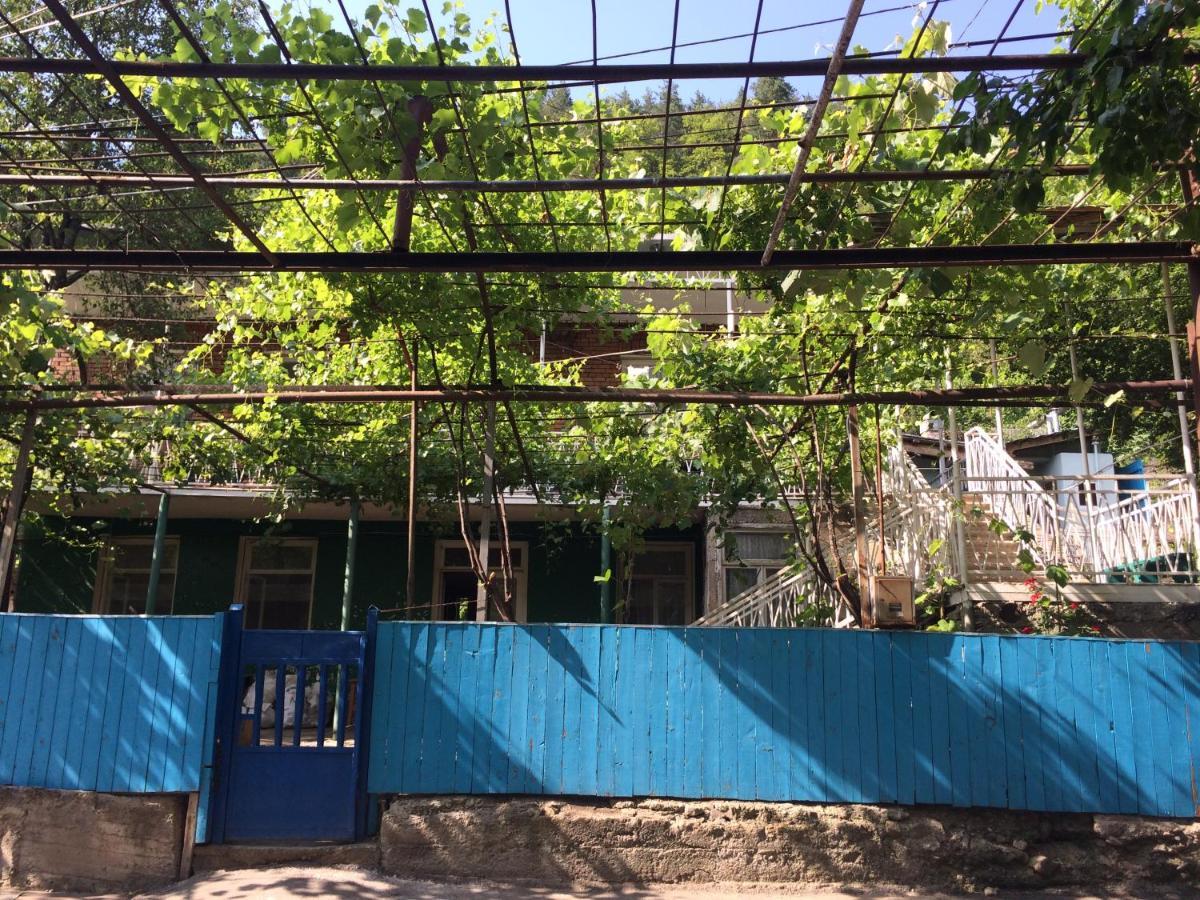 Guesthouse Malkhazi 보르조미 외부 사진