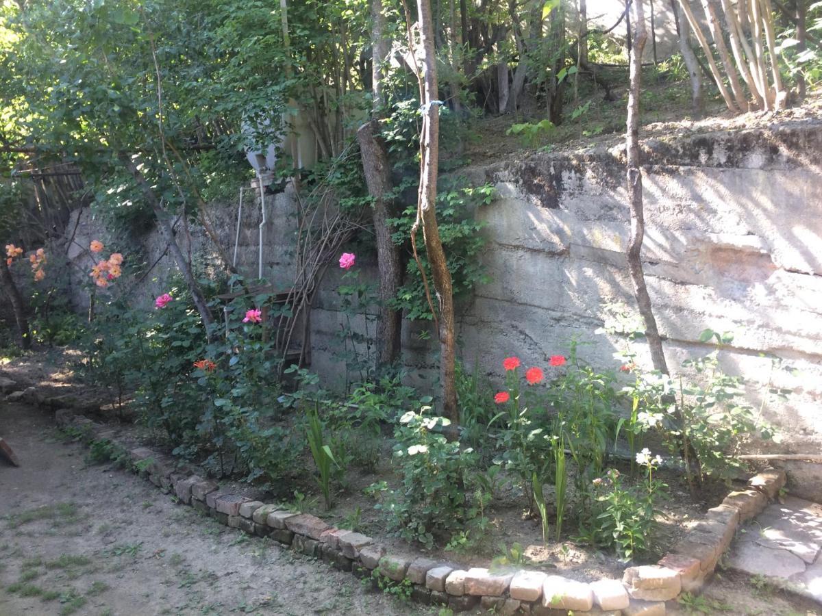 Guesthouse Malkhazi 보르조미 외부 사진